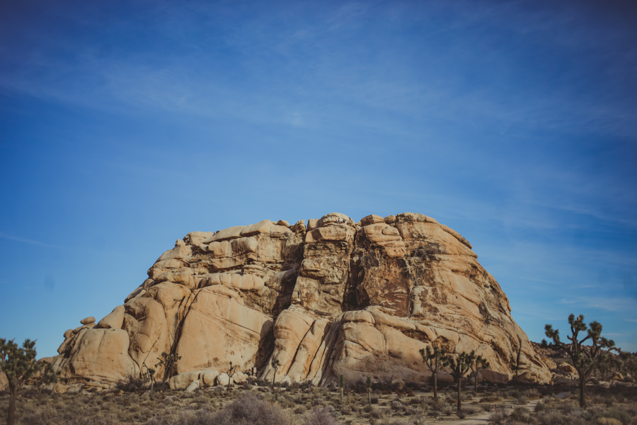 rockclimbingEngagement