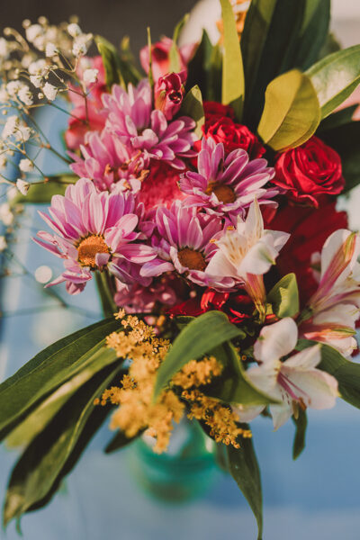 ashevilleweddingphotography