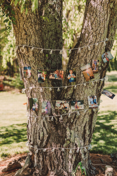 ashevilleweddingdetails